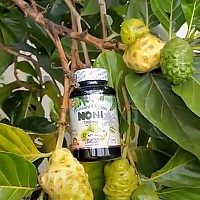 Premium Organic Noni